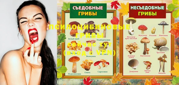 MDMA Premium VHQ Володарск