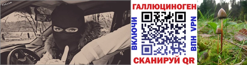 наркошоп  Ессентуки  Псилоцибиновые грибы GOLDEN TEACHER 